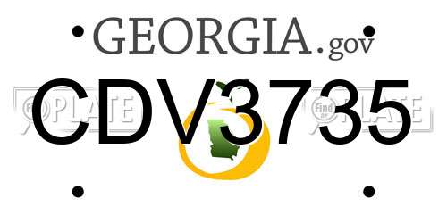 CDV3735 Georgia License Plate