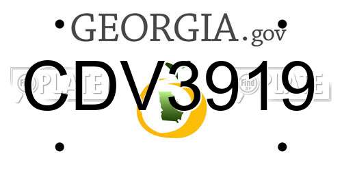 CDV3919 Georgia License Plate