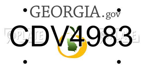 CDV4983 Georgia License Plate