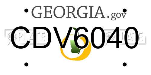 CDV6040 Georgia License Plate