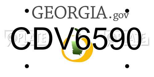 CDV6590 Georgia License Plate
