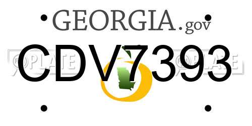 CDV7393 Georgia License Plate