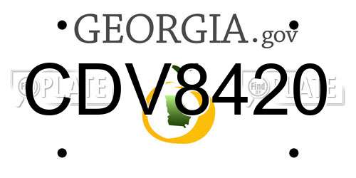 CDV8420 Georgia License Plate
