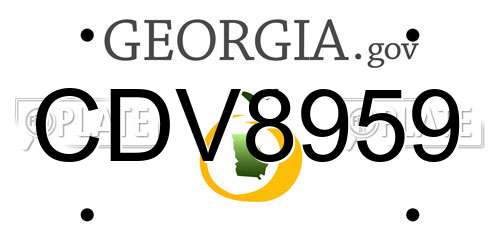 CDV8959 Georgia License Plate