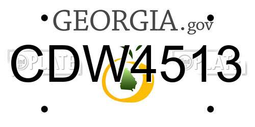 CDW4513 Georgia License Plate