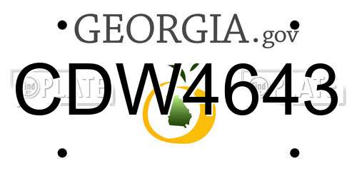 CDW4643 Georgia License Plate