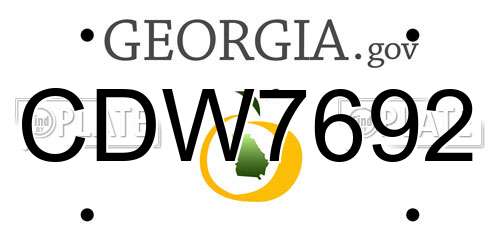 CDW7692 Georgia License Plate