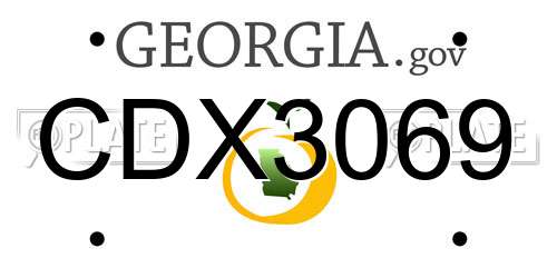 CDX3069 Georgia License Plate
