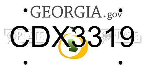 CDX3319 Georgia License Plate