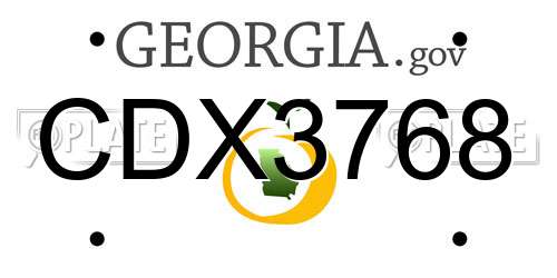CDX3768 Georgia License Plate