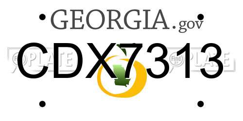 CDX7313 Georgia License Plate