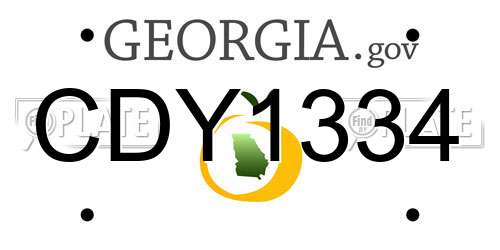 CDY1334 Georgia License Plate