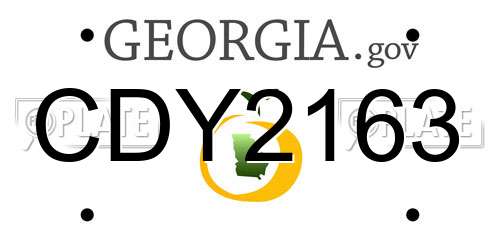 CDY2163 Georgia License Plate
