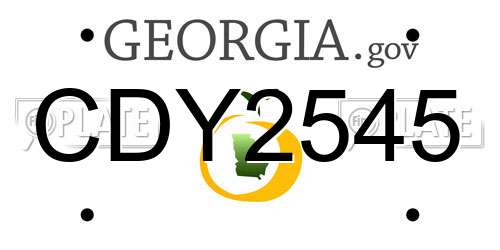 CDY2545 Georgia License Plate