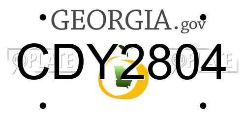 CDY2804 Georgia License Plate