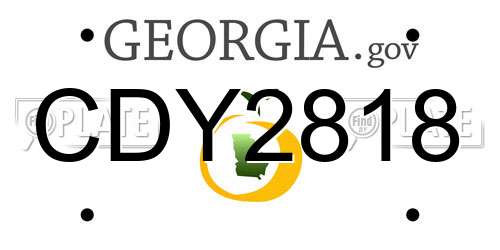 CDY2818 Georgia License Plate
