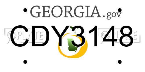 CDY3148 Georgia License Plate