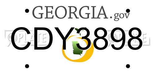 CDY3898 Georgia License Plate