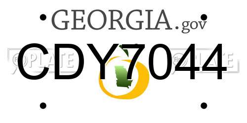 CDY7044 Georgia License Plate