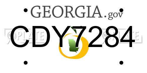 CDY7284 Georgia License Plate