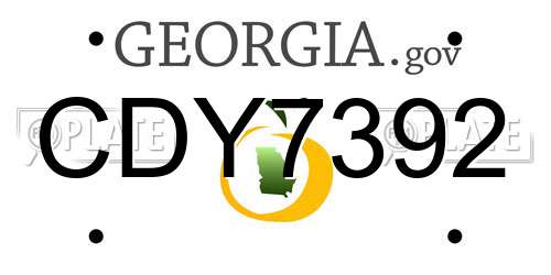 CDY7392 Georgia License Plate