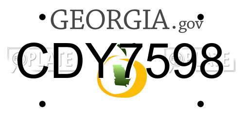 CDY7598 Georgia License Plate