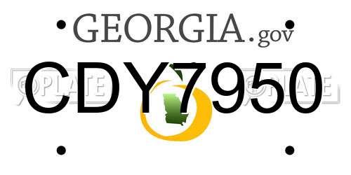 CDY7950 Georgia License Plate