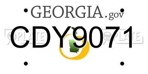 CDY9071 Georgia License Plate