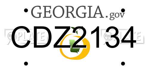 CDZ2134 Georgia License Plate