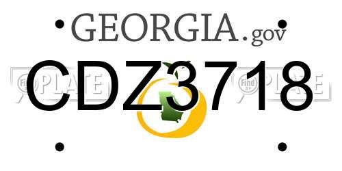 CDZ3718 Georgia License Plate