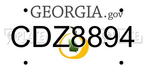 CDZ8894 Georgia License Plate