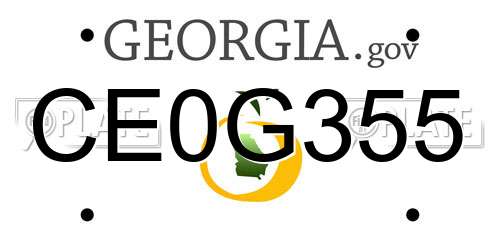 CE0G355 Georgia License Plate