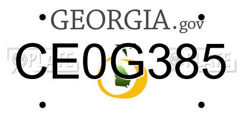 CE0G385 Georgia License Plate
