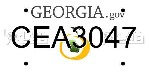 CEA3047 Georgia License Plate