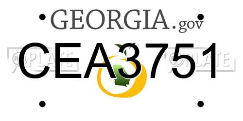 CEA3751 Georgia License Plate