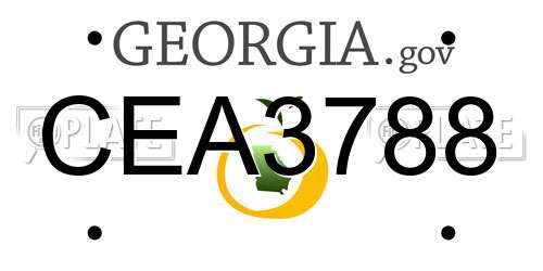 CEA3788 Georgia License Plate