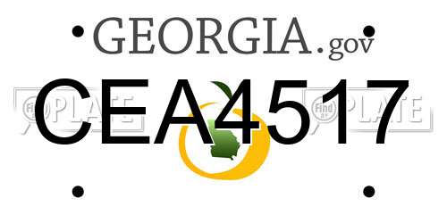 CEA4517 Georgia License Plate