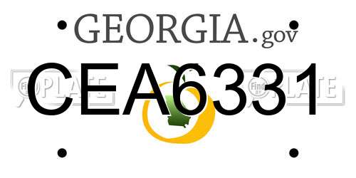 CEA6331 Georgia License Plate