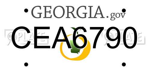 CEA6790 Georgia License Plate