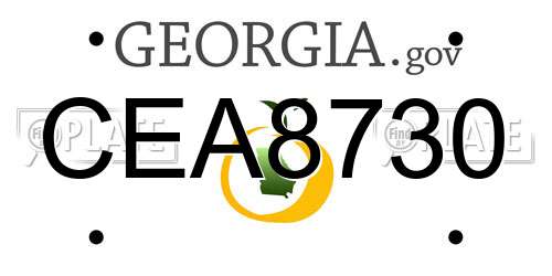 CEA8730 Georgia License Plate