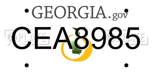 CEA8985 Georgia License Plate