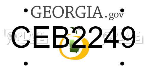 CEB2249 Georgia License Plate