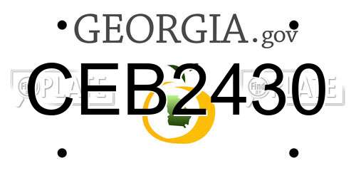 CEB2430 Georgia License Plate