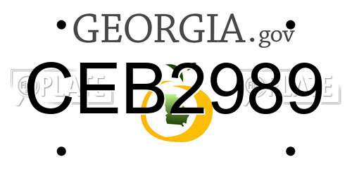 CEB2989 Georgia License Plate