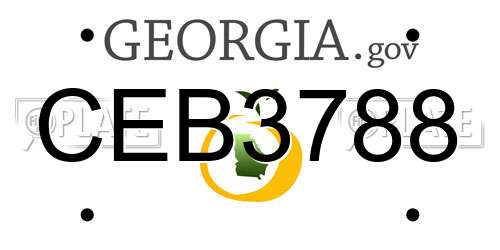 CEB3788 Georgia License Plate