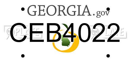CEB4022 Georgia License Plate