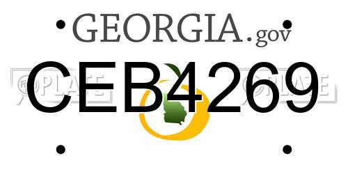 CEB4269 Georgia License Plate