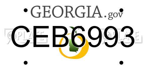 CEB6993 Georgia License Plate