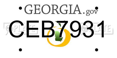 CEB7931 Georgia License Plate