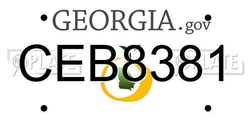 CEB8381 Georgia License Plate